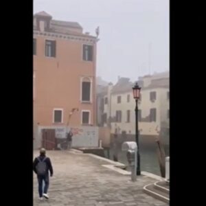 venezia si tuffa nel canale