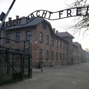 Ultimo treno, prossima fermata Auschwitz: racconti di viaggio verso i lager raccolti da Carlo Greppi, la recensione è superflua, bastano le citazioni