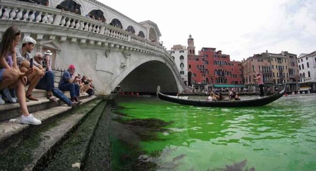acqua verde venezia