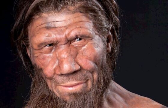 Covid, nonno Neanderthal ci ha messo nei guai, intanto la nuova variante dilaga, 30.000 infettati in una settimana, cinque volte che un mese fa