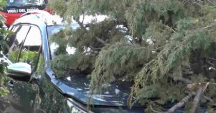 albero cade su auto ad arezzo