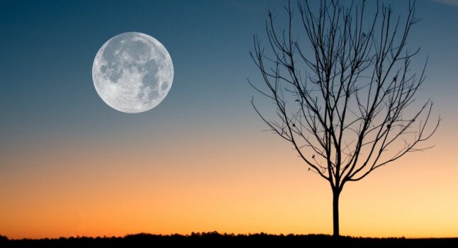 Luna nel cielo all'alba