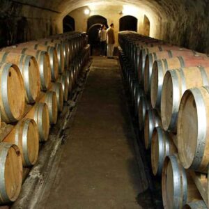 Slow Wine, numeri record alla fiera di Bologna dedicata al vino “buono, pulito e giusto”, cantine da 27 Paesi del mondo.