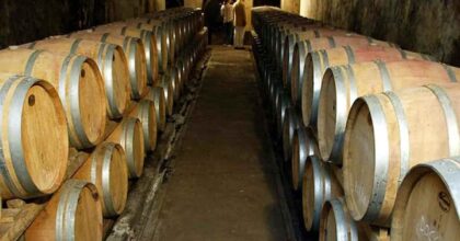 Slow Wine, numeri record alla fiera di Bologna dedicata al vino “buono, pulito e giusto”, cantine da 27 Paesi del mondo.