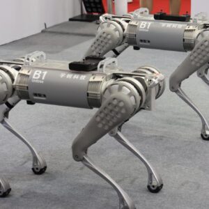 robot cani guerra cina